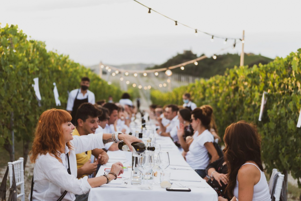 cena tra i filari roero